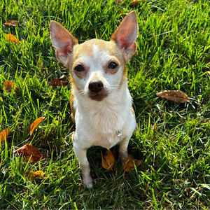 Meet your Posher, Bry